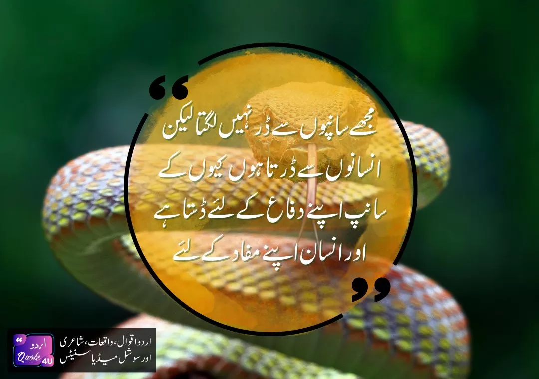 Best Life Quotes In Urdu To Touch Your Heart Urduquote4u