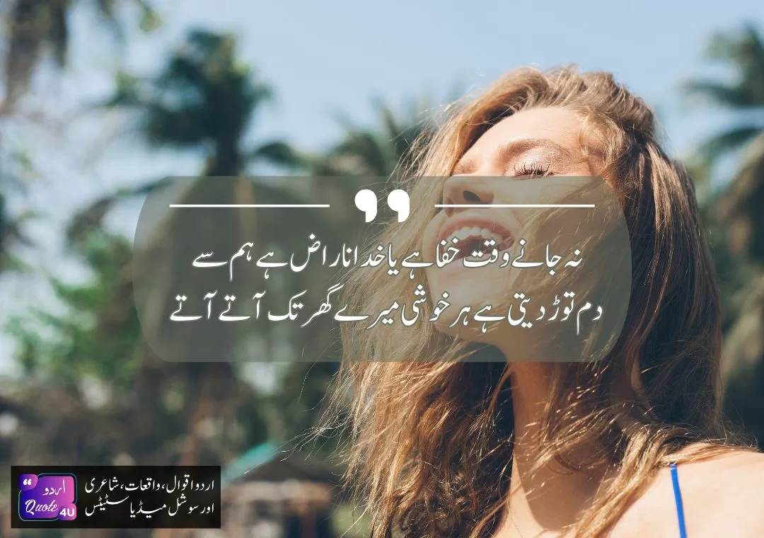 The-Best-50-Happiness-Quotes-Quote-02