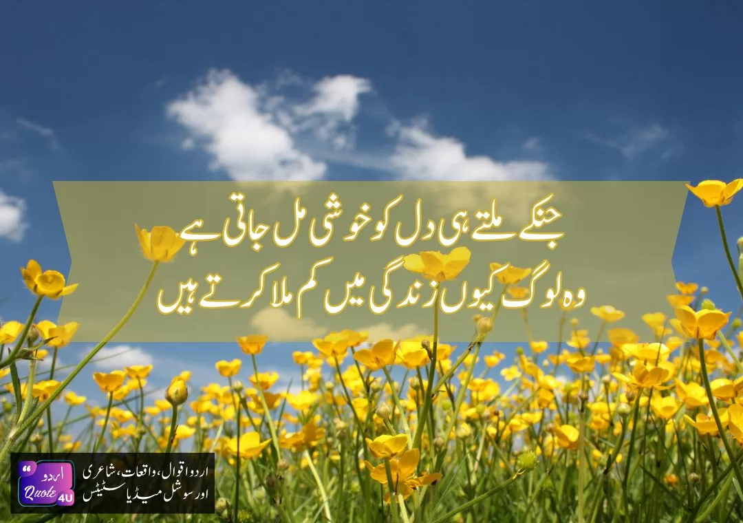 The-Best-50-Happiness-Quotes-Quote-07
