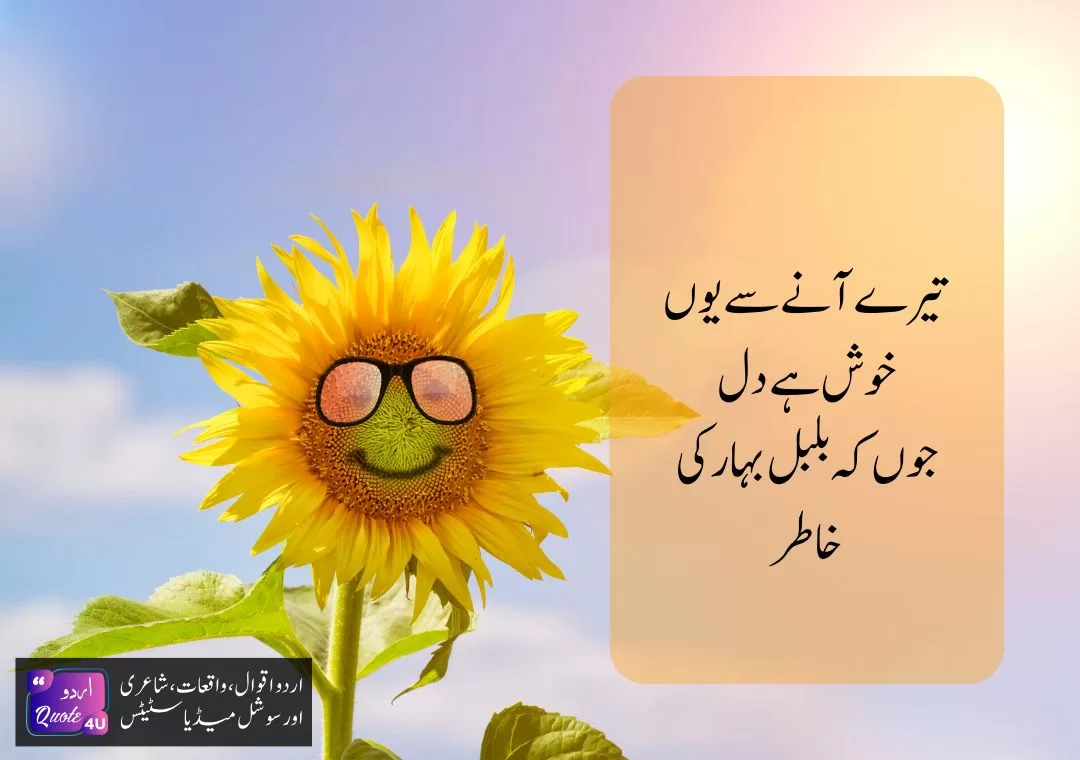 The-Best-50-Happiness-Quotes-Quote-41