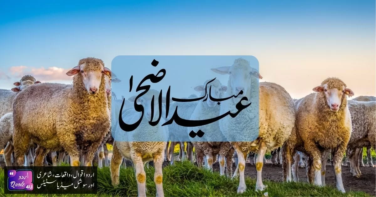 Top-50-Eid-ul-Adha-Wishes-For-Family