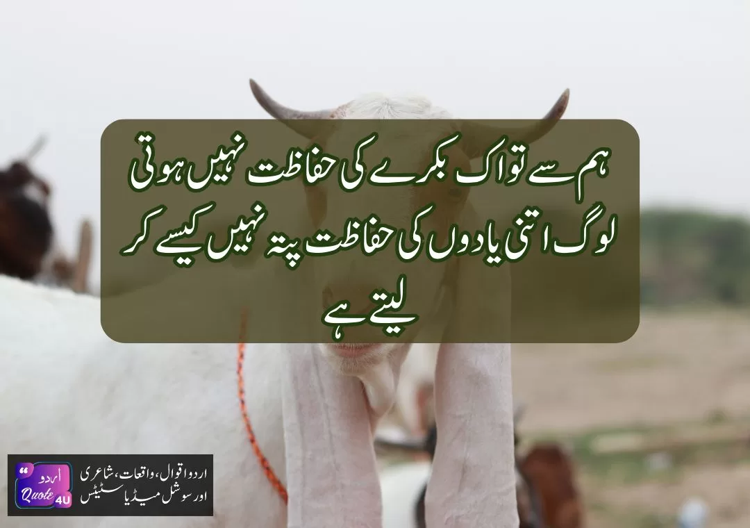 Top-50-Eid-UL-Adha-wishes-wish-38